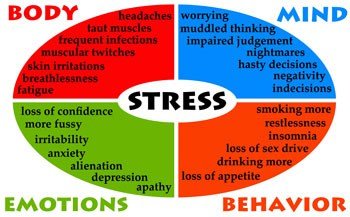 stress physical diagramme mind anxiety immune tensin emoties diagrama tensioni diagramma impatient psychological hypnosis verzweiflung fatiga conflitto coppie compressa giovani